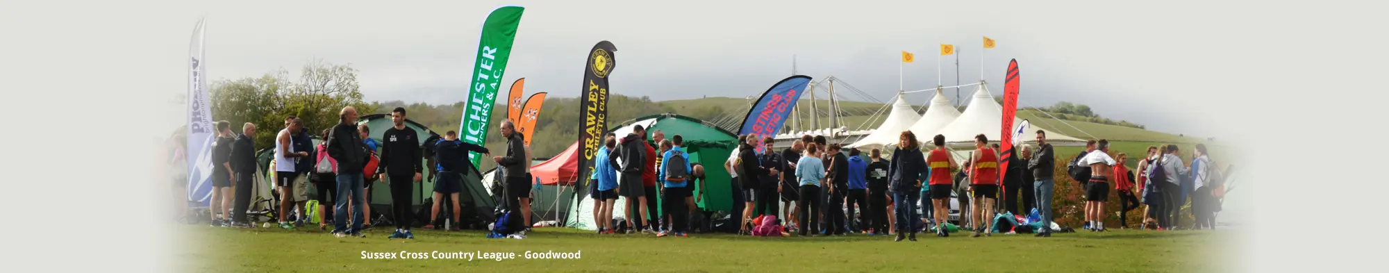 Cross country at Goodwood